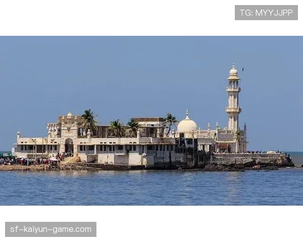 印度队主力状态爆棚，轻取对手，印度队伍